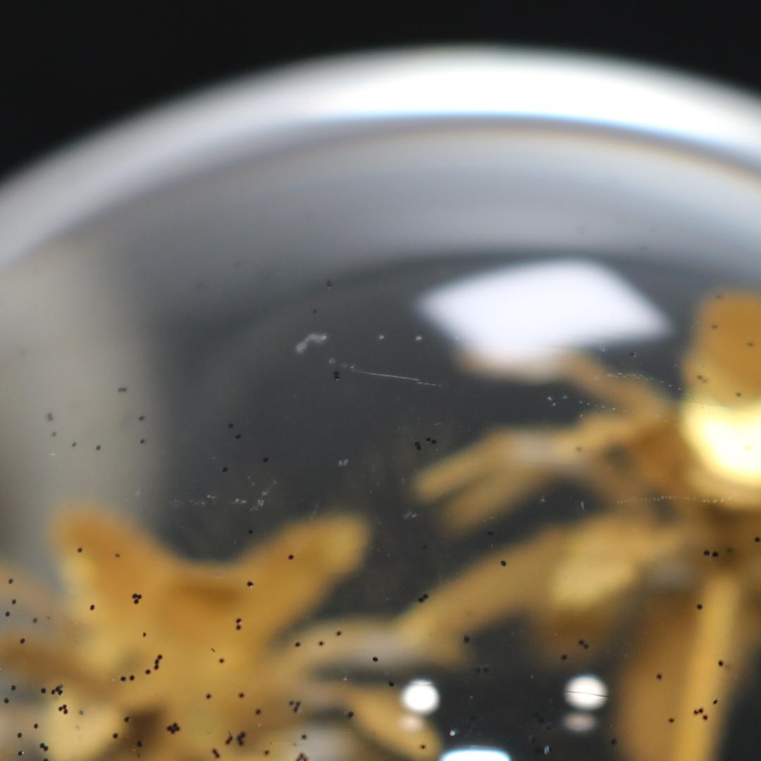 【美品】サンローラン リヴ・ドロワ スノードーム パームツリー ヤシの木