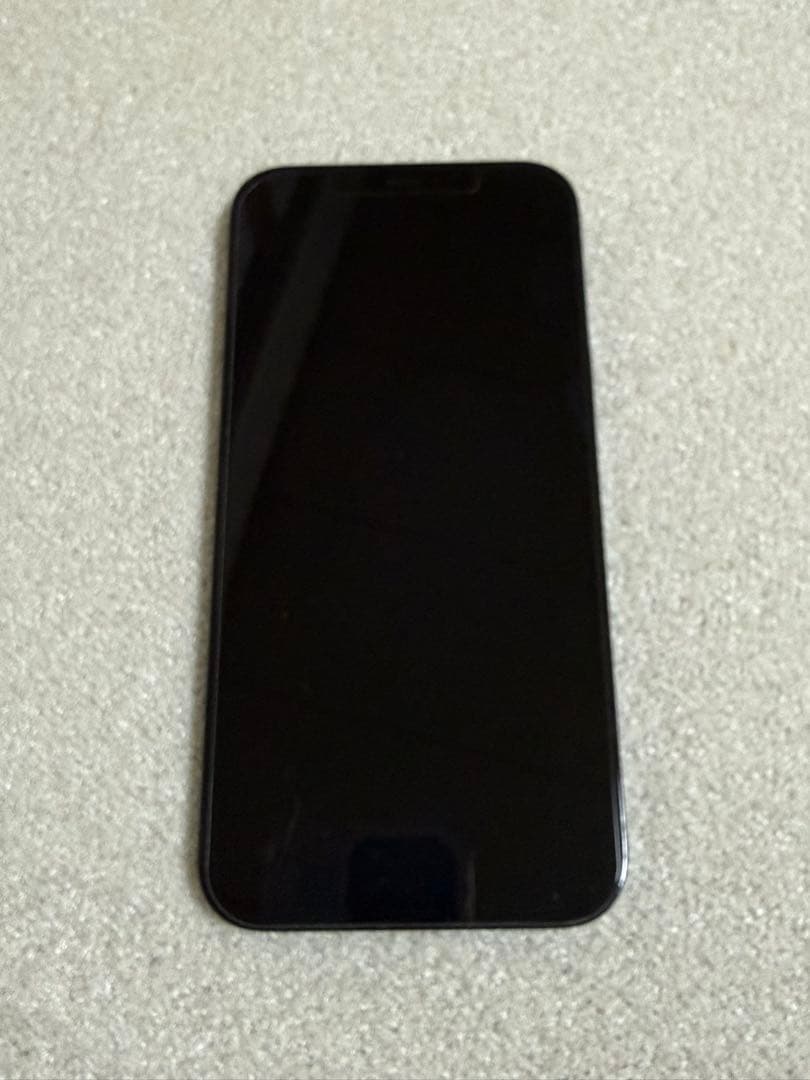 iPhone 12 Pro max パシフィックブルー