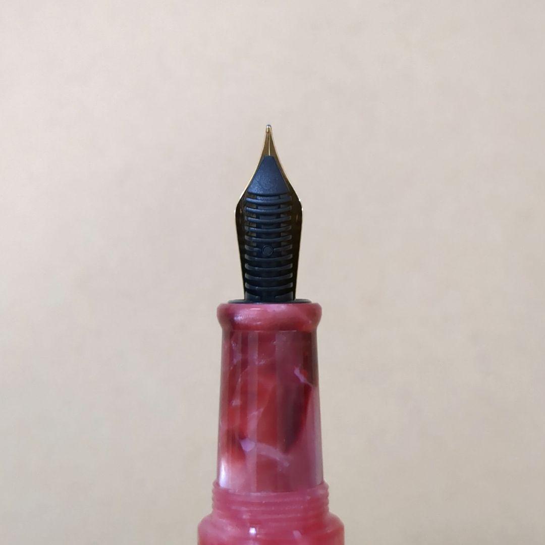 helico シュクル万年筆 コンバーター付き