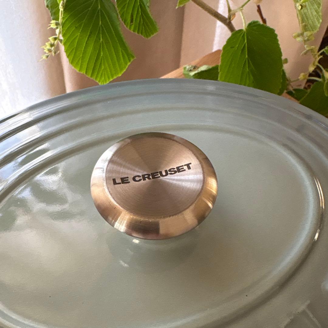 ル・クルーゼ オーバル 両手鍋 25cm シーソルト 限定色