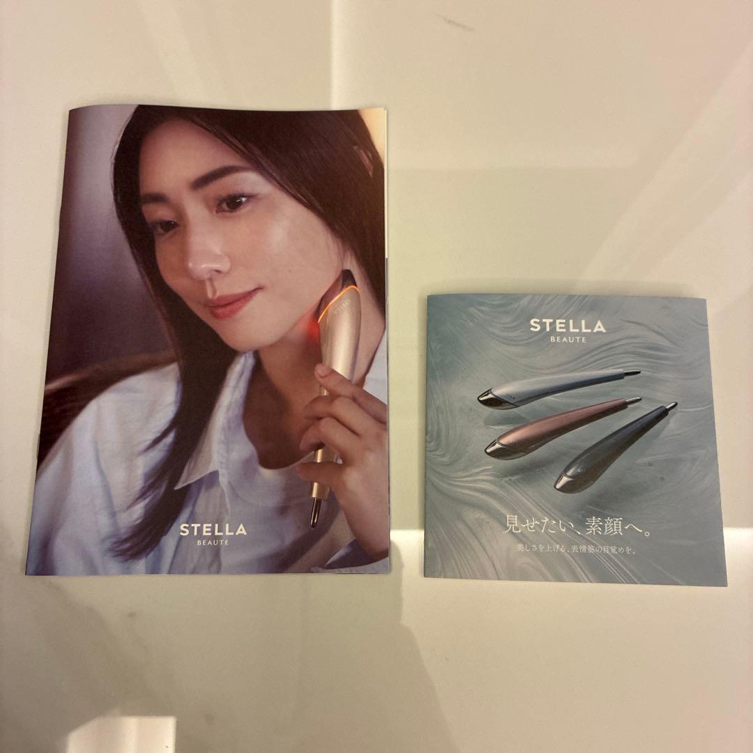 【新品未使用】STELLA Beauty Face Stick 2.0 グレー