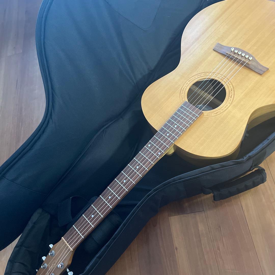 よしさん専用 シーガルのウォールナットミニジャンボ 専用ケース付