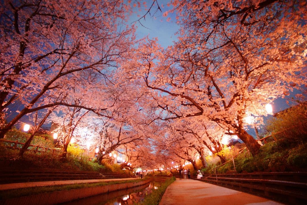 【タムさま専用】TAMRON SP 17mm f/3.5 レンズ EOS EF