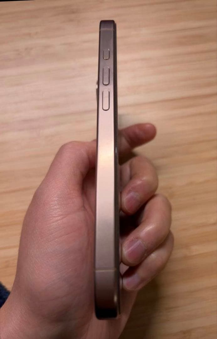 【北米版】iPhone16Pro256GB