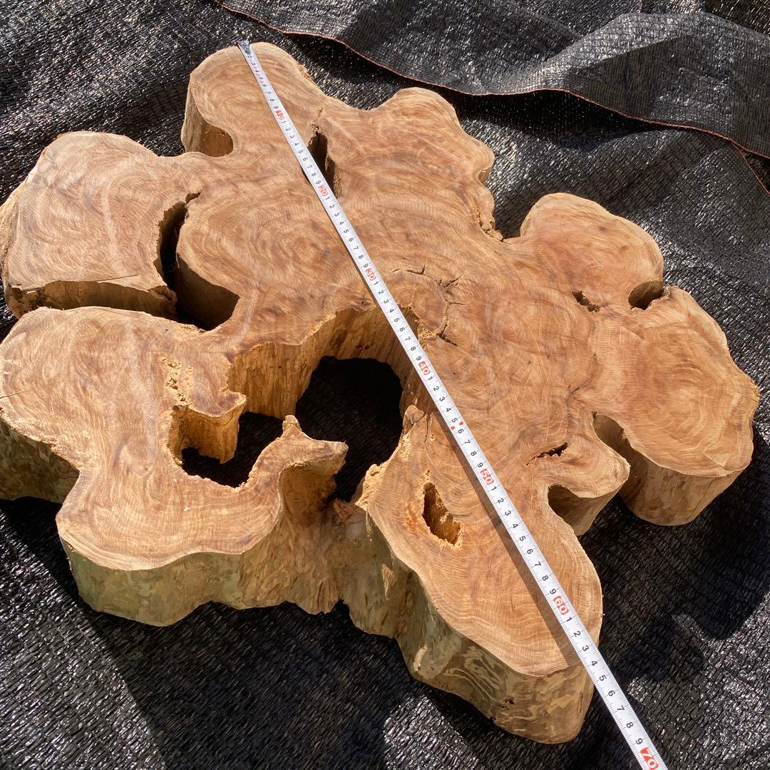 ①*ஐ一枚板！！インテリアディスプレイやテーブルにも*ஐ【輪切り・丸太・切り株】