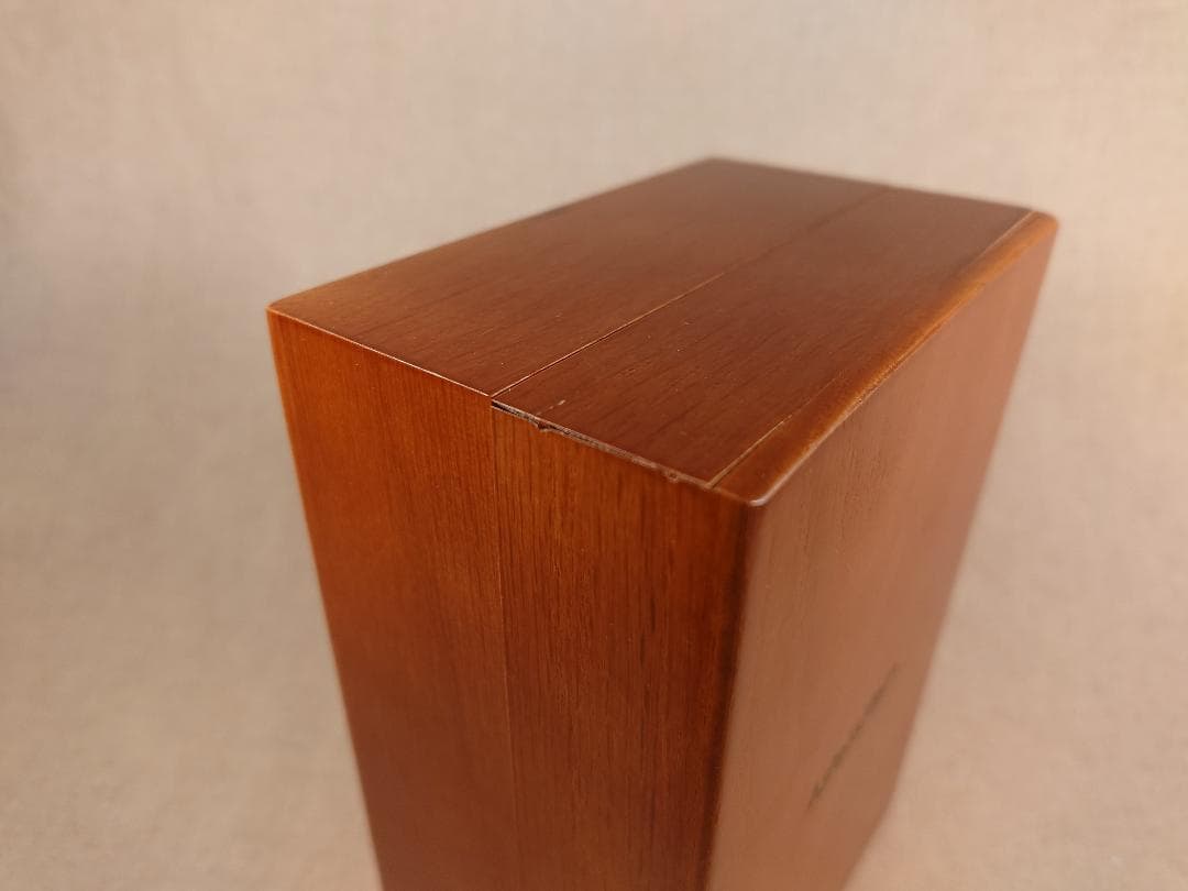 A&ultima SP1000 Stainless Steel【レザーケース付】