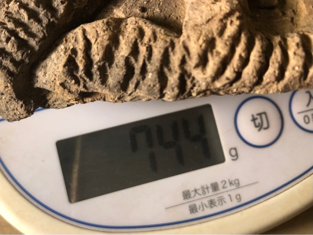 「土器の欠片 縁の部分 No.697」です。