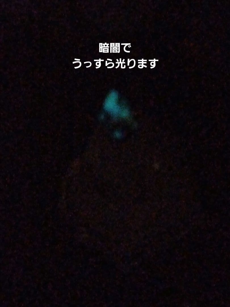 乾燥タツノオトシゴ⭐️五角錐ピラミッドオルゴナイト⭐️願い事・幸運を呼びたい