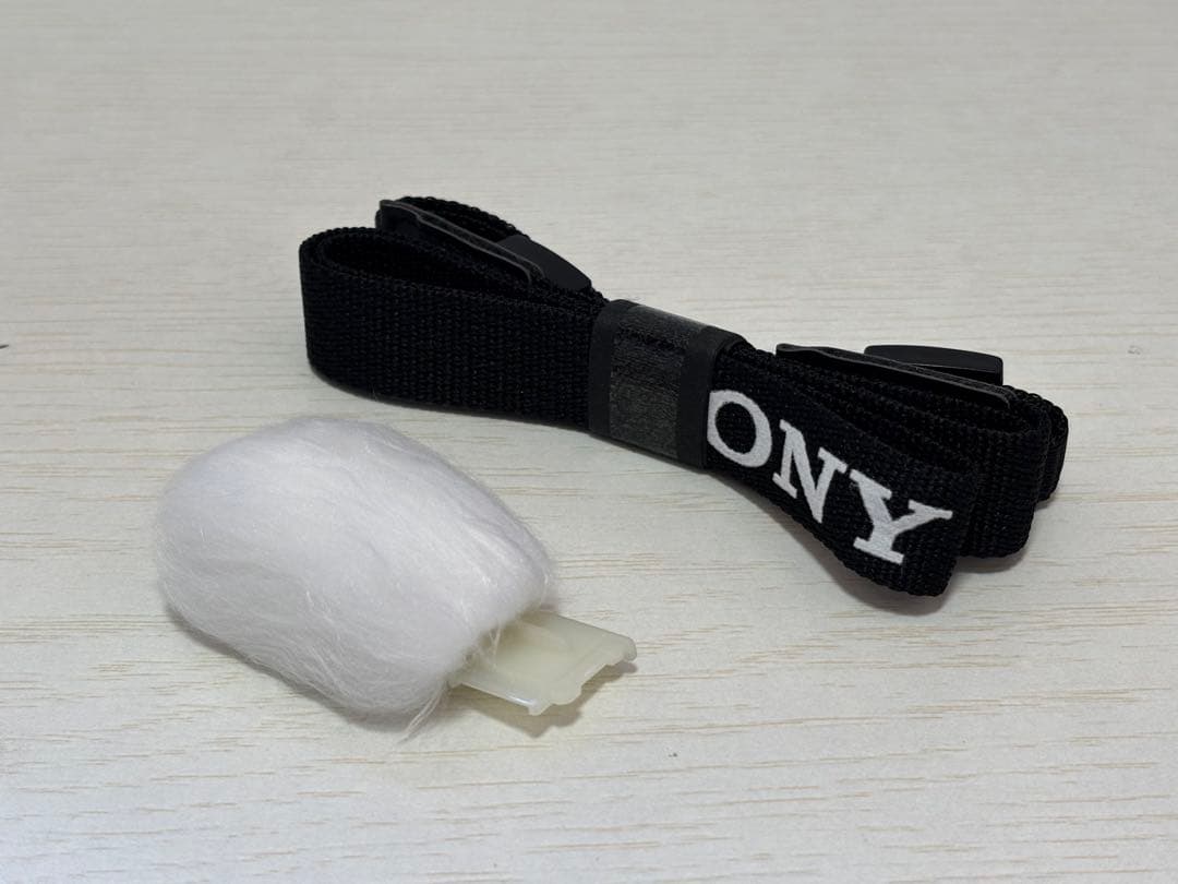 SONY ZV-E10 II 本体+ゲージセット