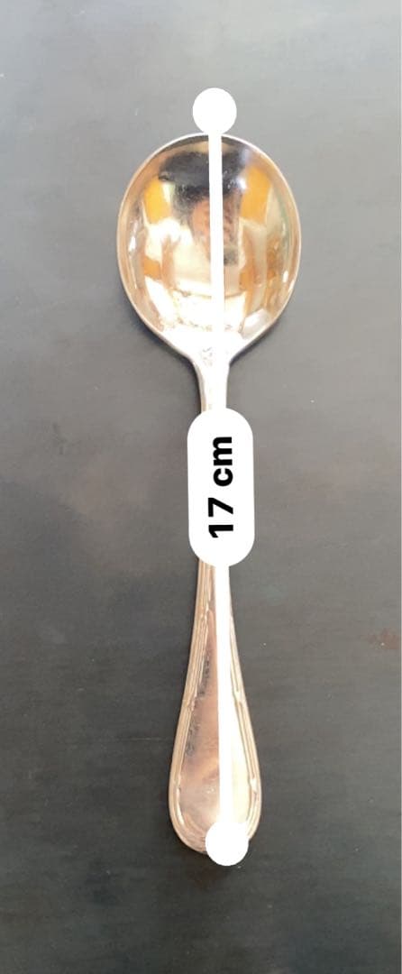 クリストフルホテルカトラリーセット 10点