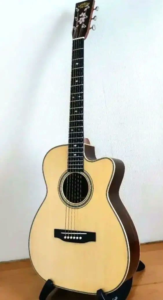 【限定特価】アストリアス ソロ ヘリンボーン セミハードケース+弦2セット