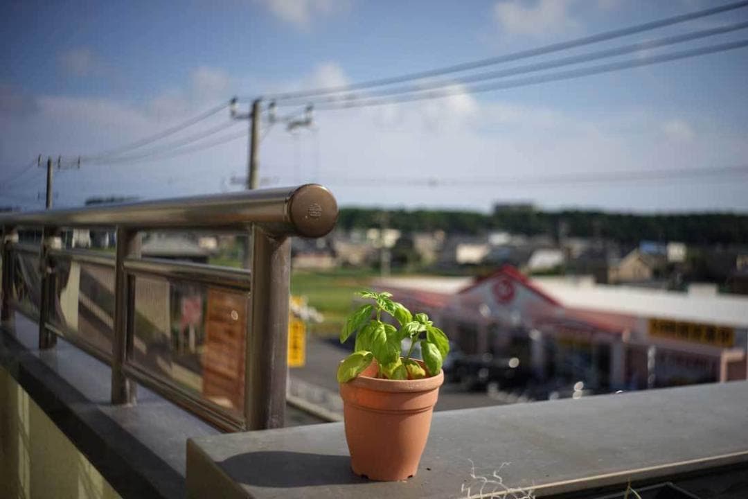 68　美品　ロモ　LOMO スメナ8 40mm F4.0 L39