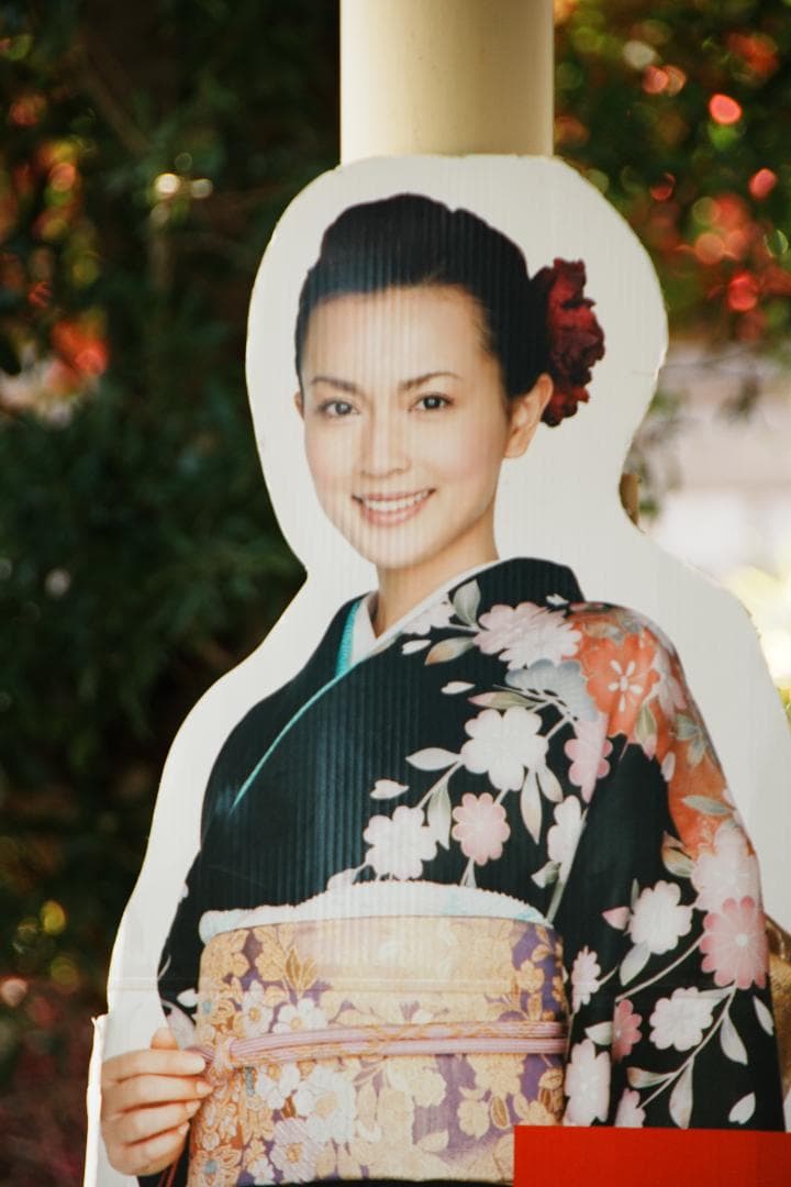 *美品★ニコン 18-200mm VR II 便利ズーム 手ぶれ補正 508