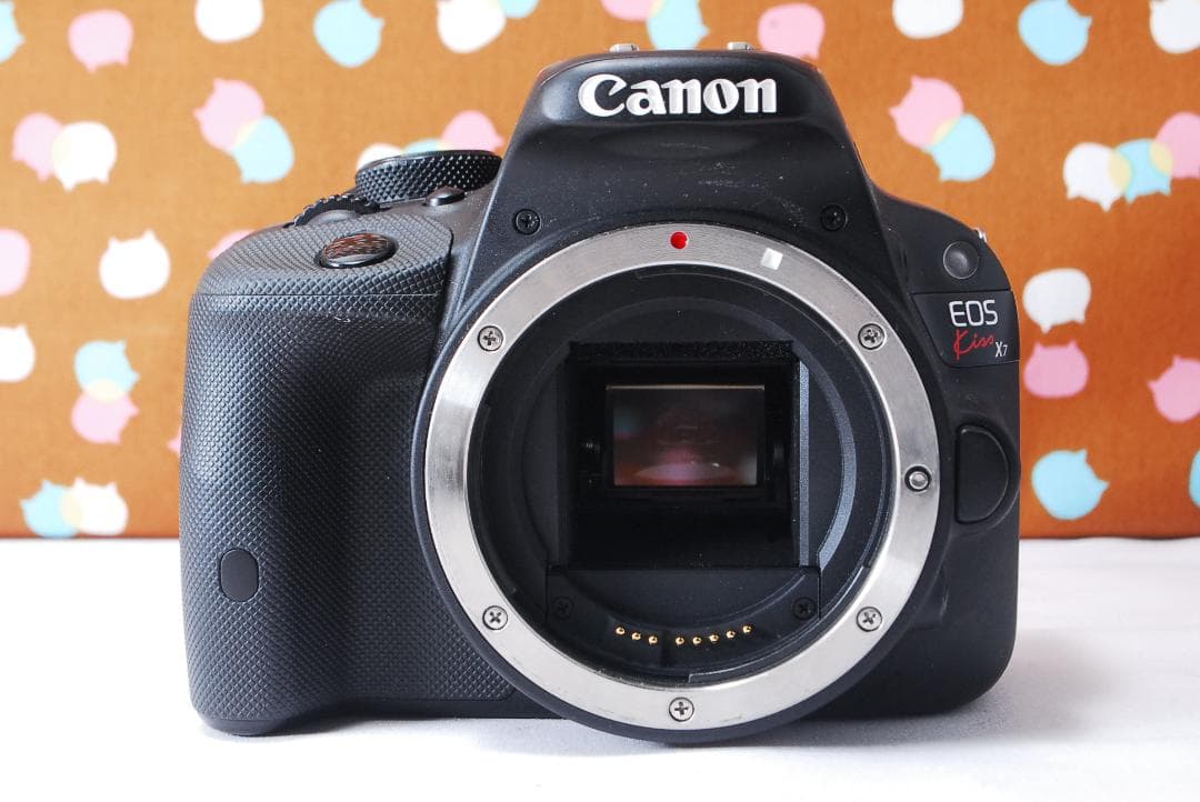 ✨シャッター数2739回✨美品✨Canon kiss X7 レンズセット