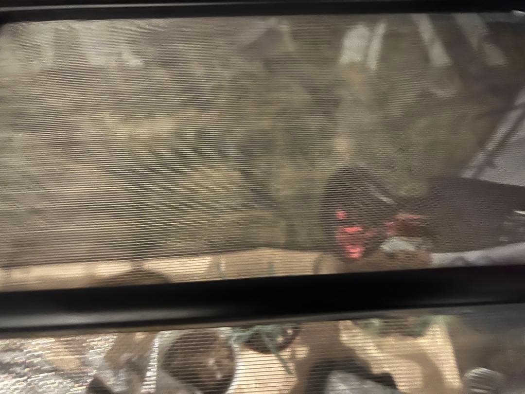 爬虫類ケージ　ＧＥＸ　エキゾテラ　グラステラリウム　９０４５　引渡し優先　愛知県