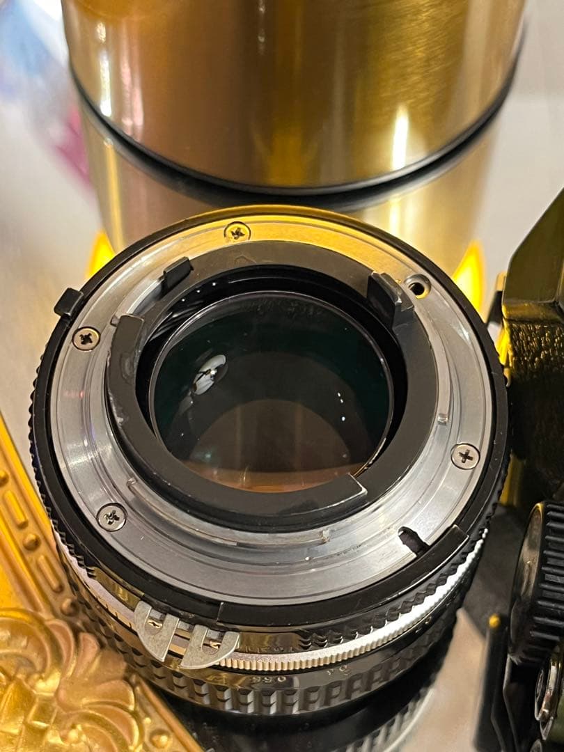 Nikon FM2 New カスタム ミリタリーグリーン ワンオフ塗装ボディ