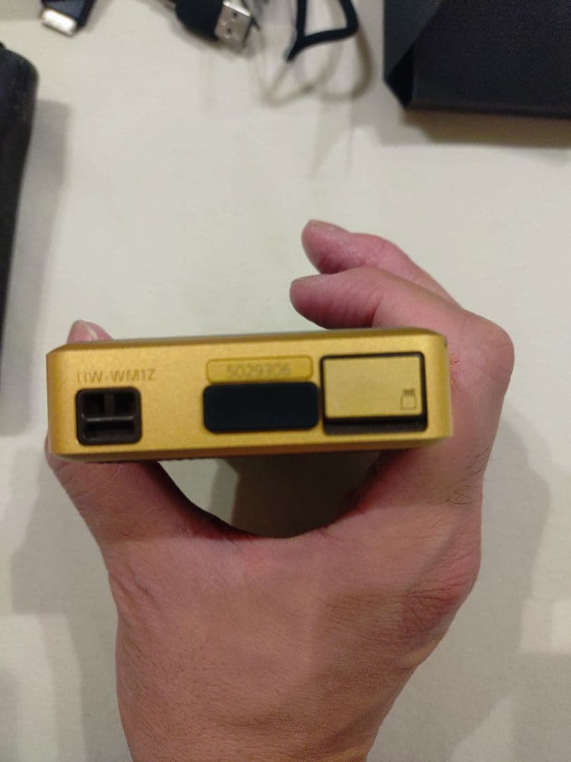 SONY ウォークマン NW-WM1Z