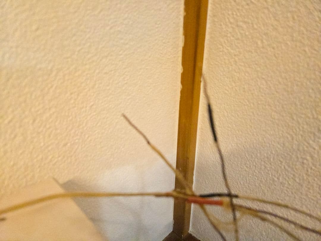 WesternElectric16GA単線ブラックエナメル SPケーブル+おまけ