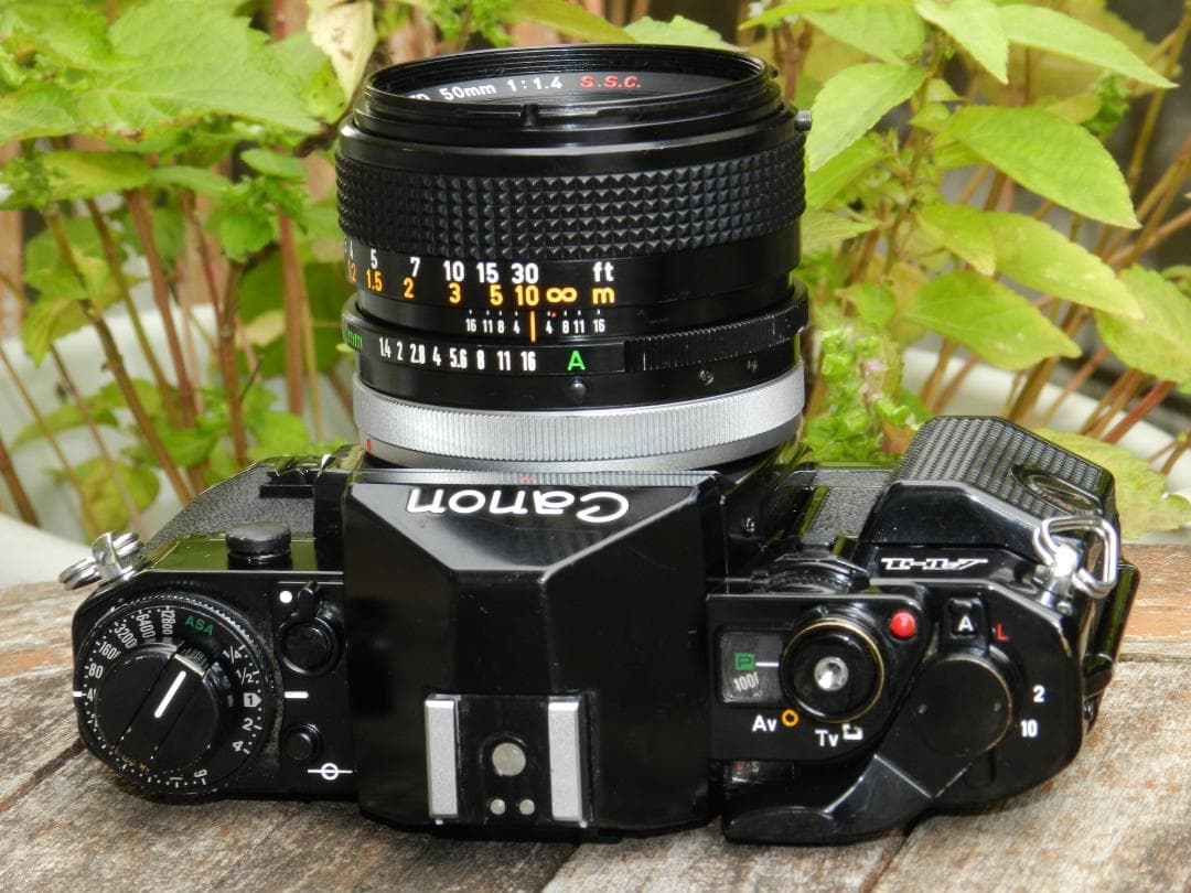 フィルムカメラ aliceCANON A-1 FD 50mm F/1.4 S.S.C