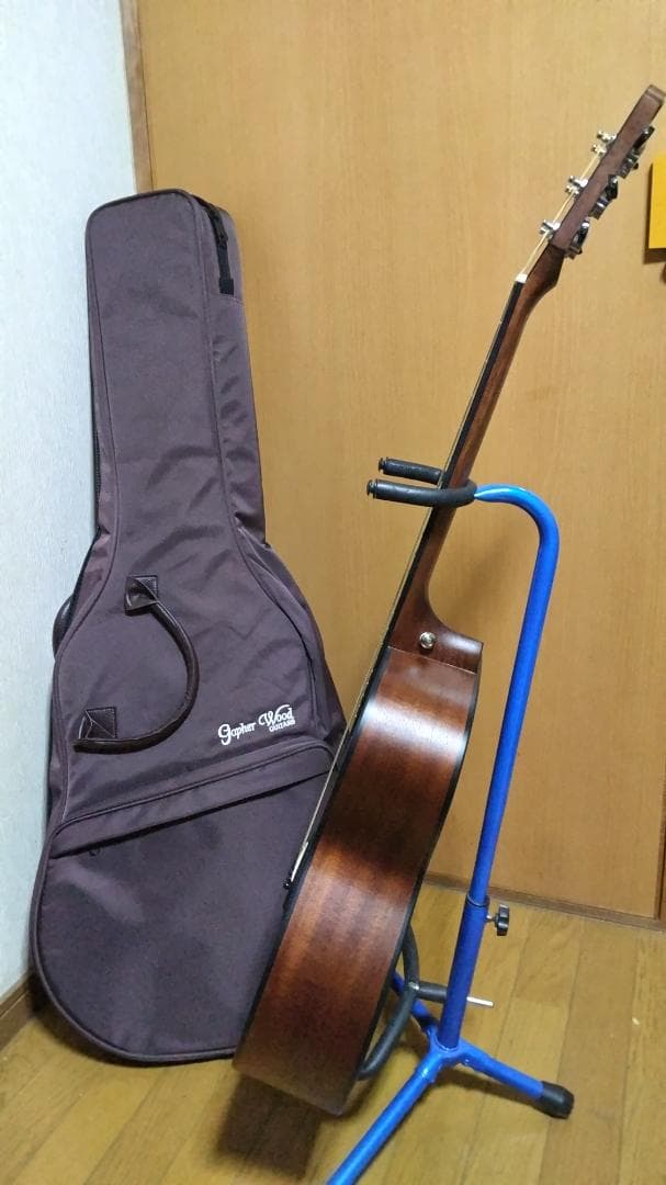 ❤️弦高調整済！「Gopher ゴフェル I110SX 」サウンドピラー内蔵！