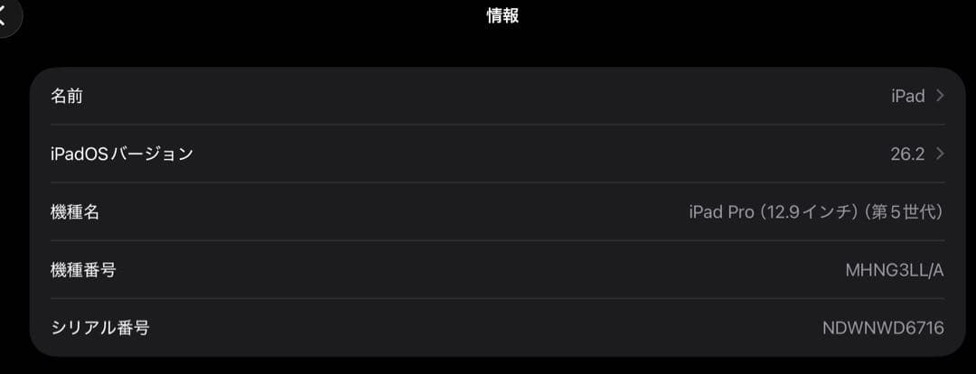 iPad Pro 12.9インチ 第5世代 / Magic Keyboard付き