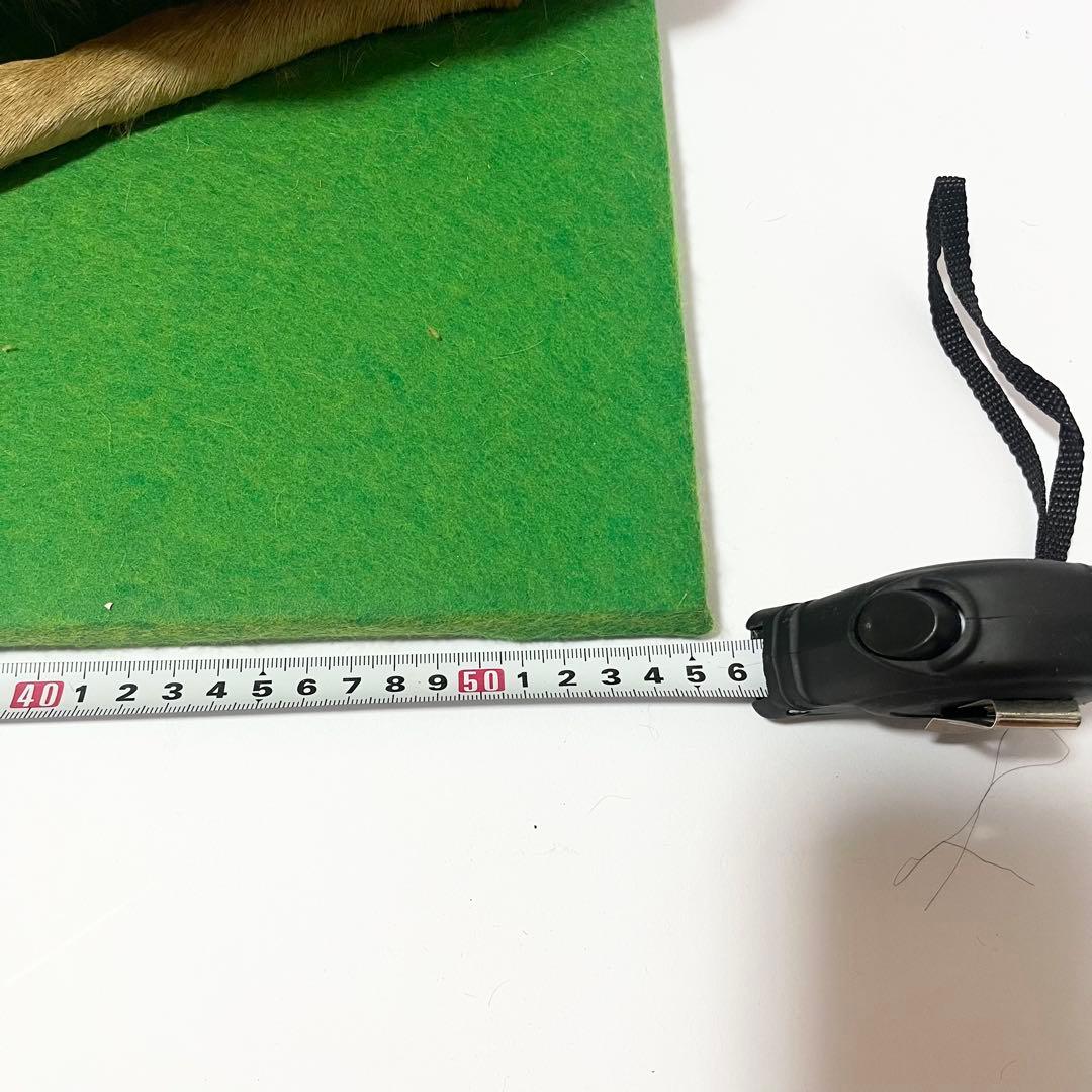 剥製 小鹿 子鹿 ニホンジカ 置き物 ヴィンテージ バンビ インテリア オブジェ