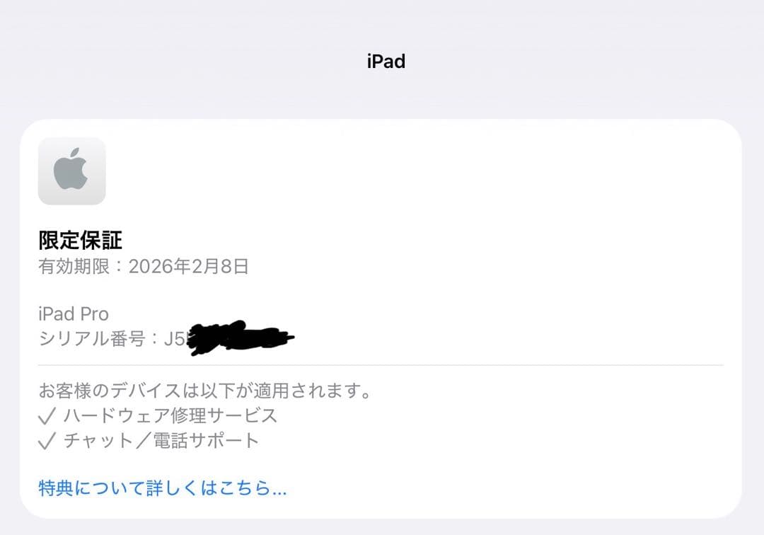 iPad Pro M4 13インチ wifi 256GB シルバー