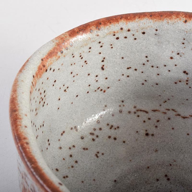 昇　荒川豊蔵　桧垣芦ノ絵鼠志野茶碗　銘朗景即中斎極め箱二重箱　DR8770