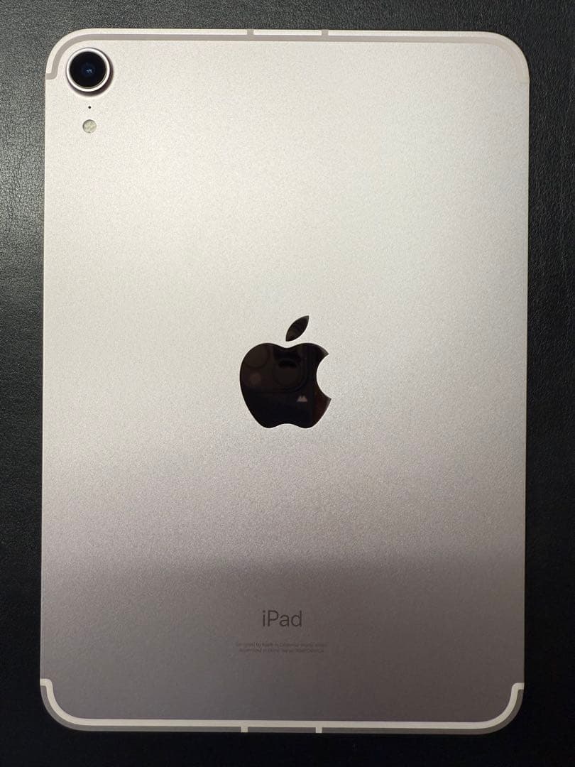 【超美品】iPad mini Wi-Fi +Cellular 256GB-ピンク