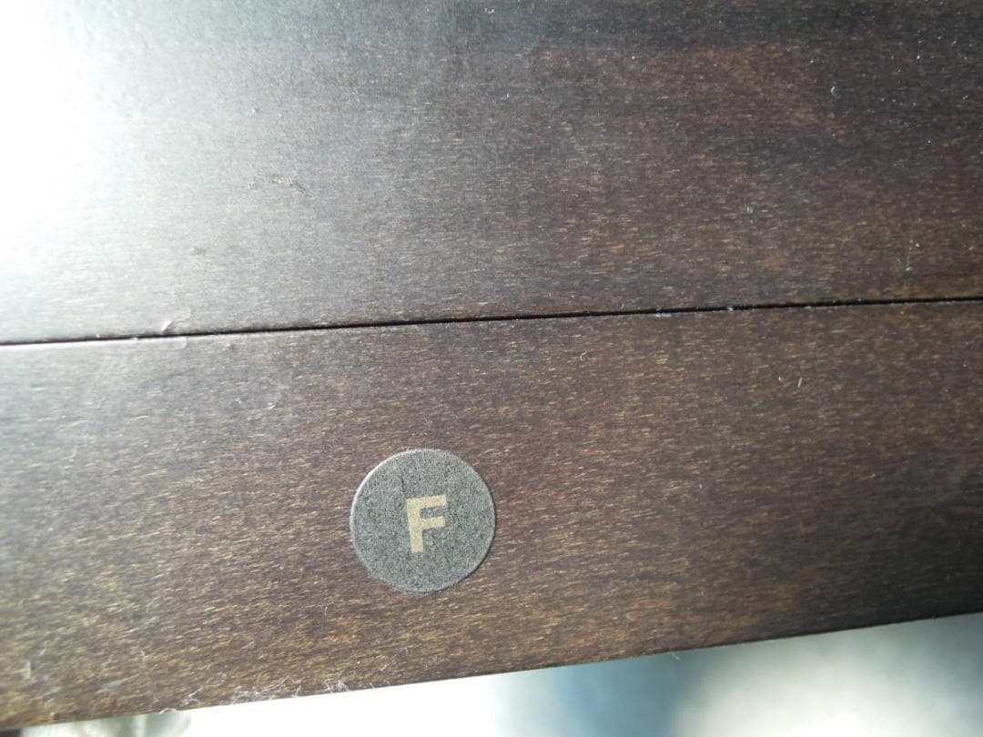 アウロラ ダンテ・アリギエリ F nib　イタリア国内仕様