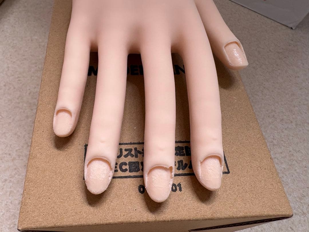 （両手）骨折なしJNEC認定モデルハンド ネイルアート用