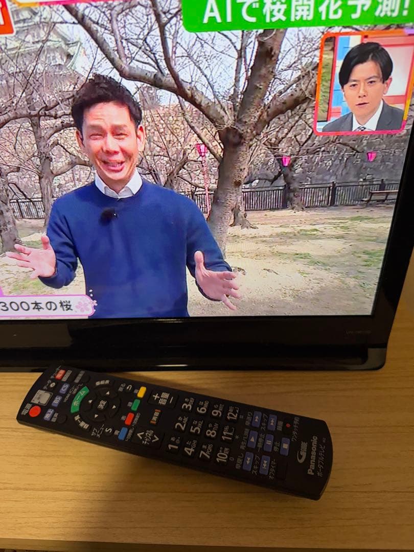 美品　スマホで外でもTVが観れる　パナソニック　プライベート　ビエラ　19インチ