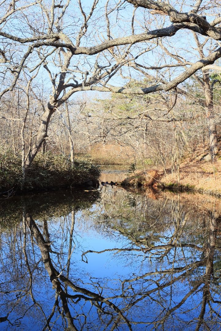 Super-Takumar 55mm F1.8 後期型 S/N：5389244