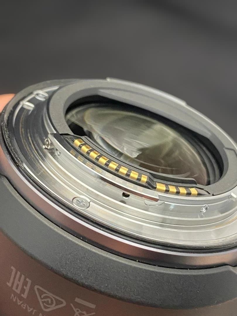 【極美品】Canon RF14-35mm F4 L IS USM（防湿庫保管）