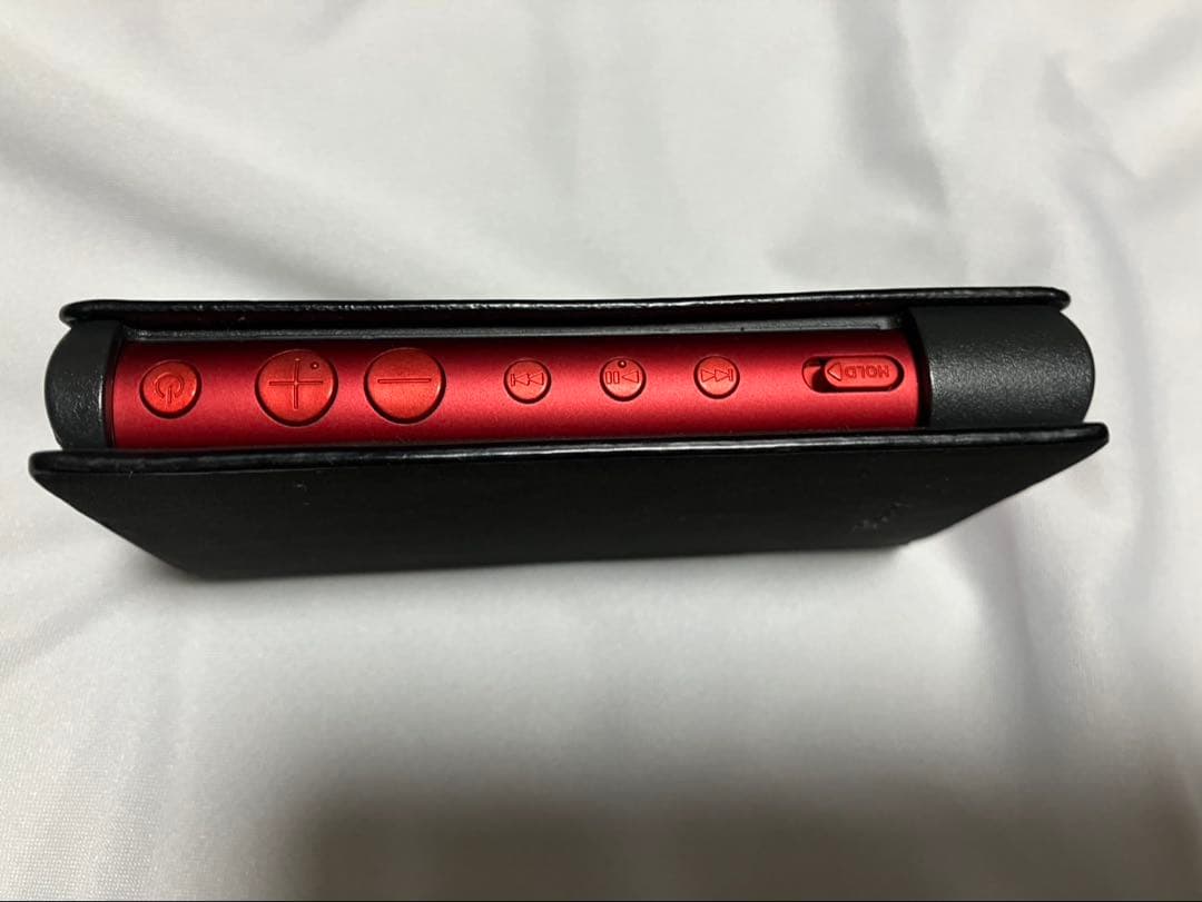 SONY ウォークマン(WALKMAN)NW-A106 ケース付