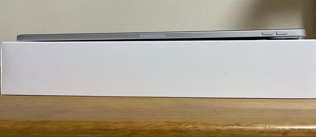 iPad Pro 第4世代　256GB(12.9インチ)