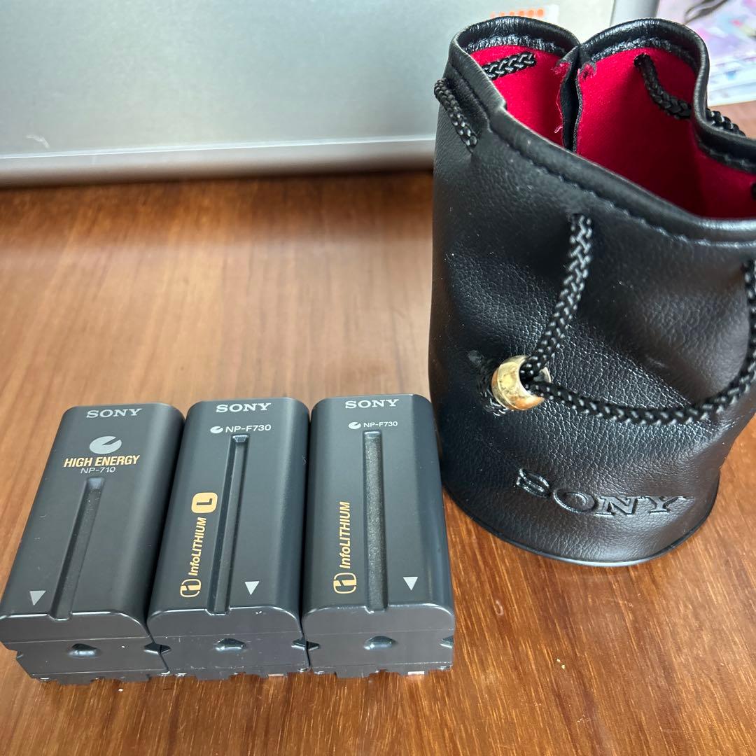 SONY DCR-VX1000 デジタルビデオカメラ ハードケース付き