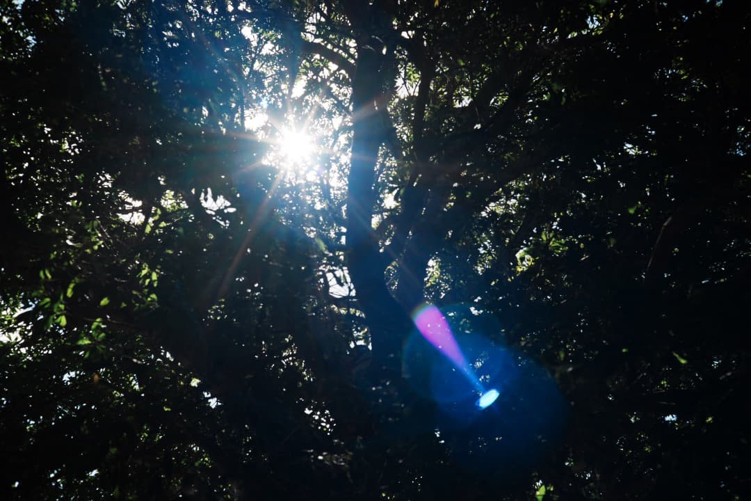 【ライカ】Minolta M-ROKKOR 40mm F2 Leica 476