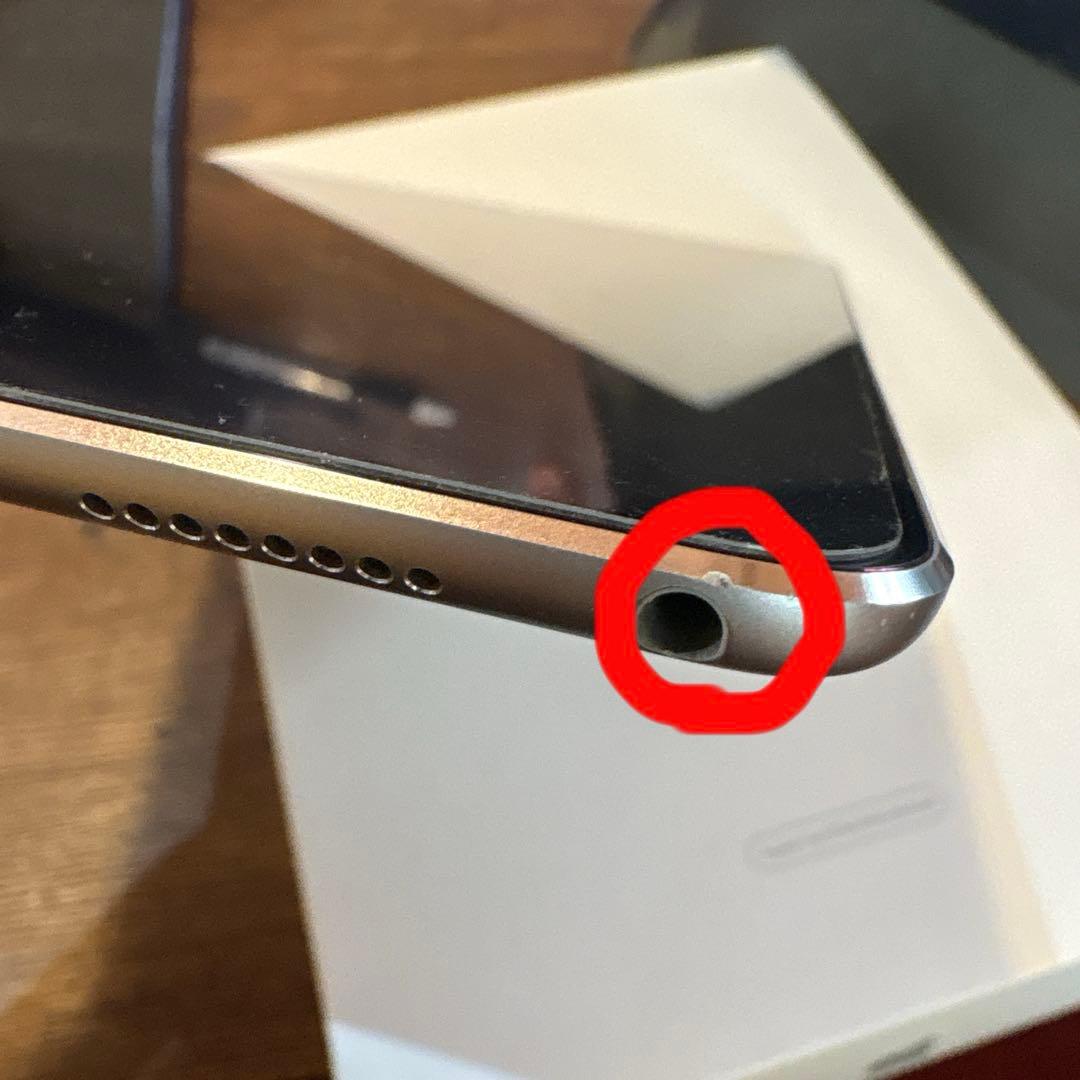 iPad Pro 10.5インチ 64GB Wi-Fi バッテリー最大容量87%