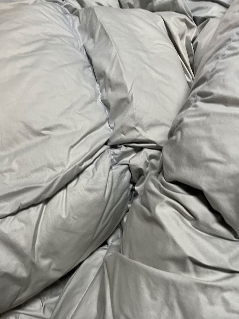 西川　羽毛掛け布団　花柄　水色　ダウン90% 1.9キロ