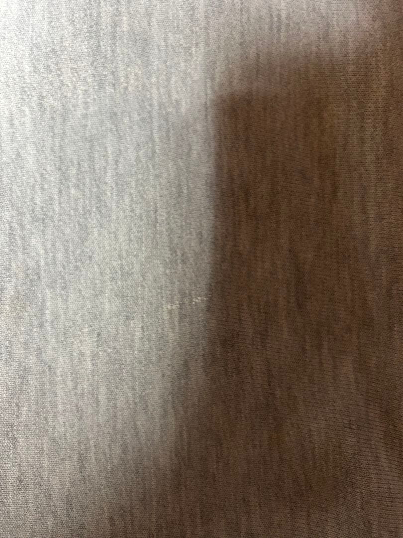 80s チャンピオン リバースウィーブ スウェット 目無し