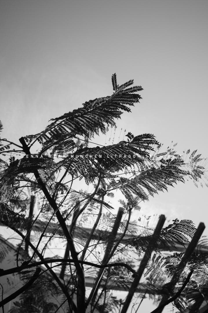 レア★ドイツ製Enna Werk Munchen LITHAGON 4.5/35