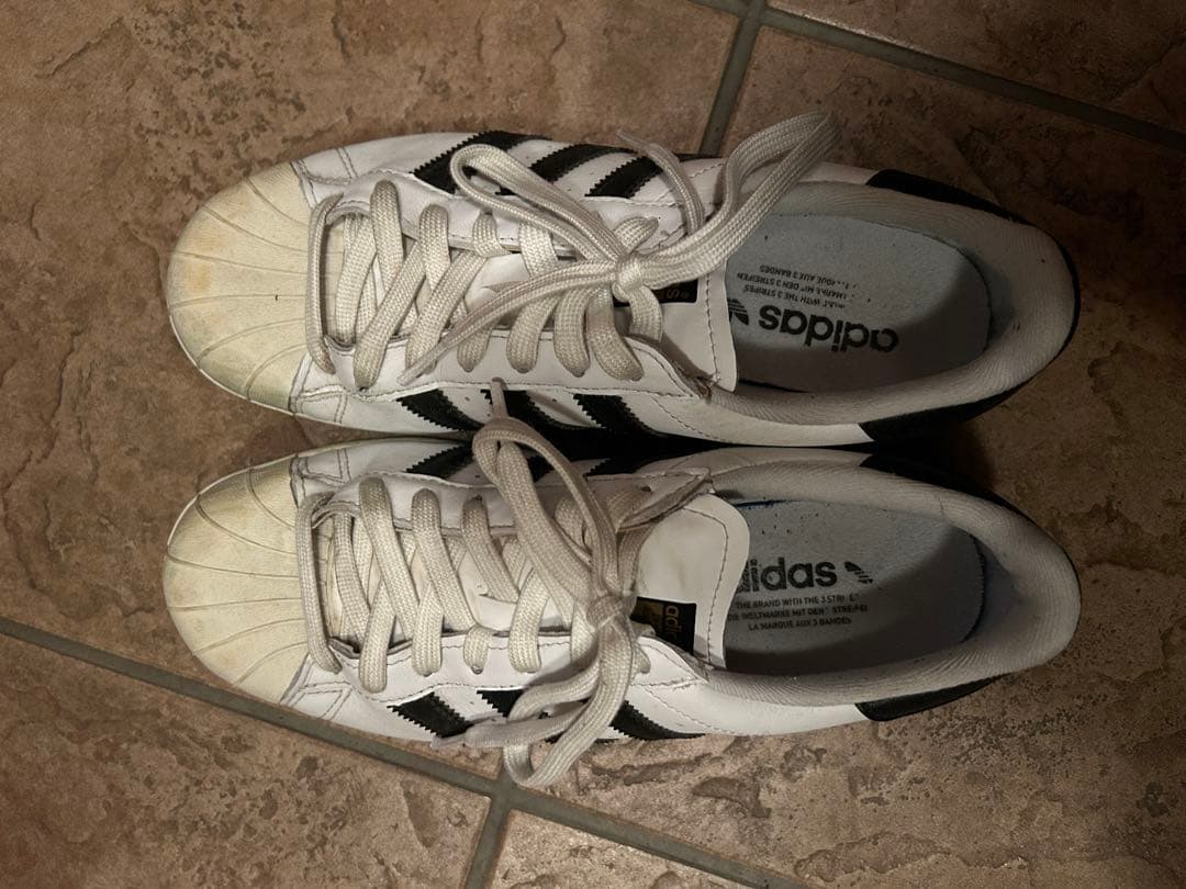 adidas スーパースター　ゴルフシューズ