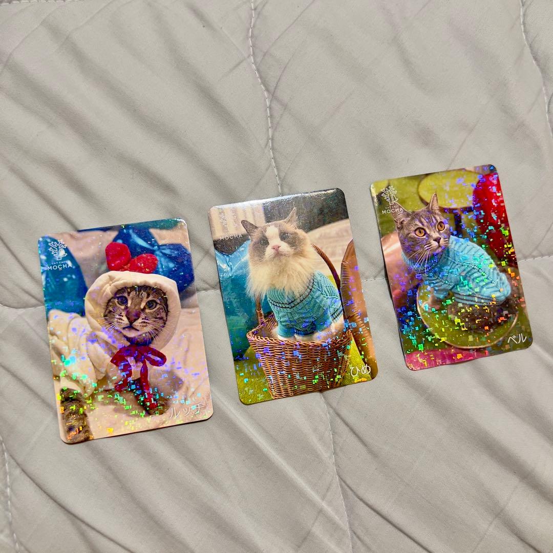 猫カフェmocha にゃんずトレカ　どきどきバレンタイン　アルシェ大宮店