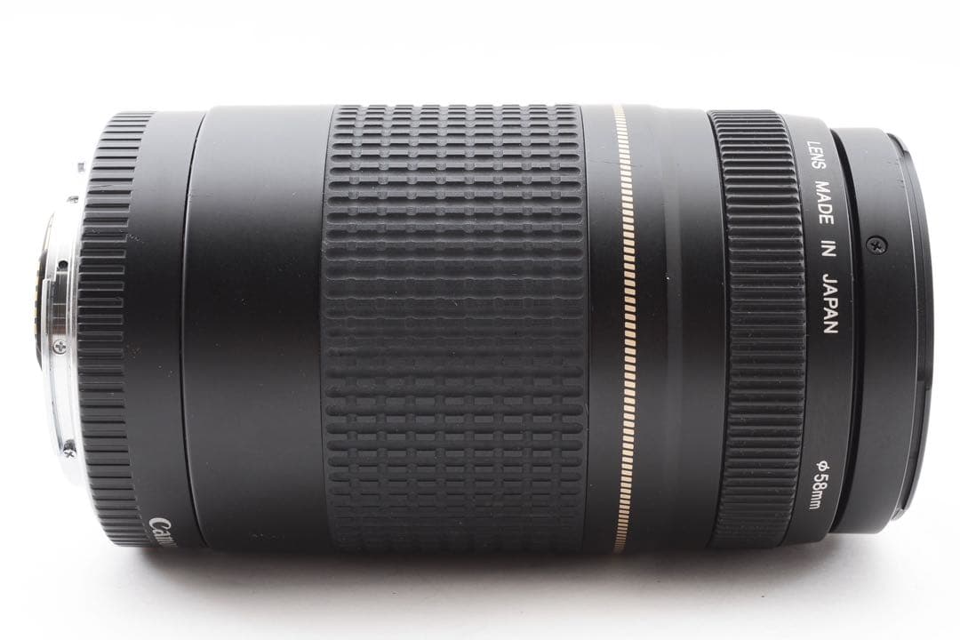 遠くも撮れる/望遠レンズ/CANON EF 75-300㎜F4-5.6 II