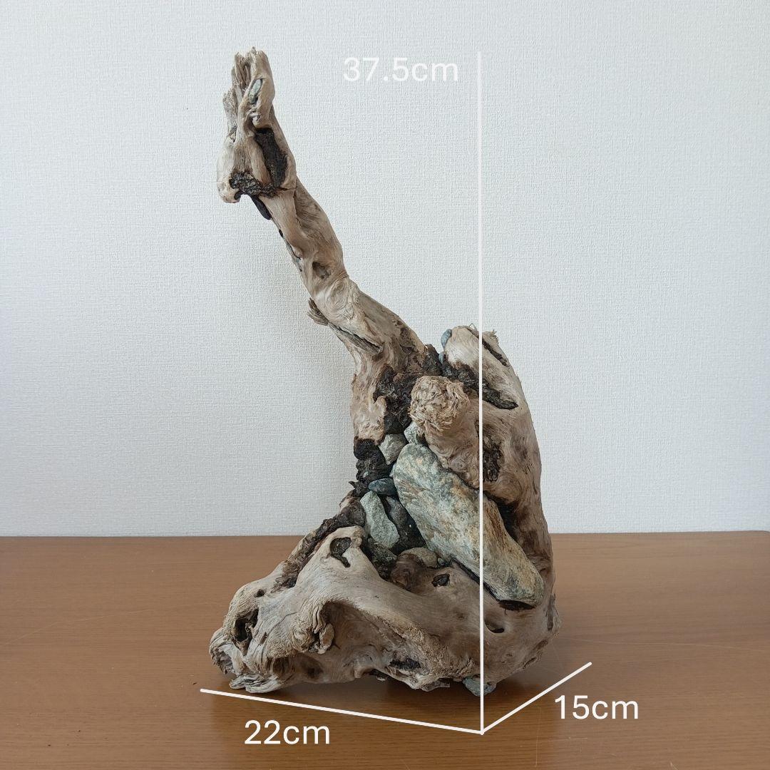 流木　石抱き　NO.95