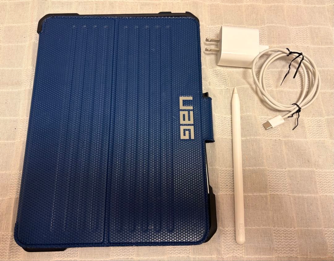 iPad Pro 11インチ第1世代256GB Apple Pencil第2世代