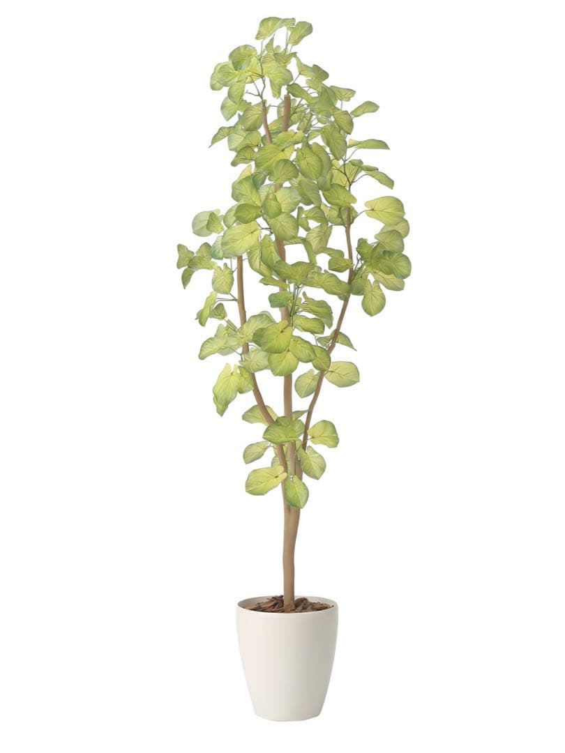 光触媒　人工観葉植物　ウォールグリーン　フェイクグリーン　スリムバウヒニア1.5