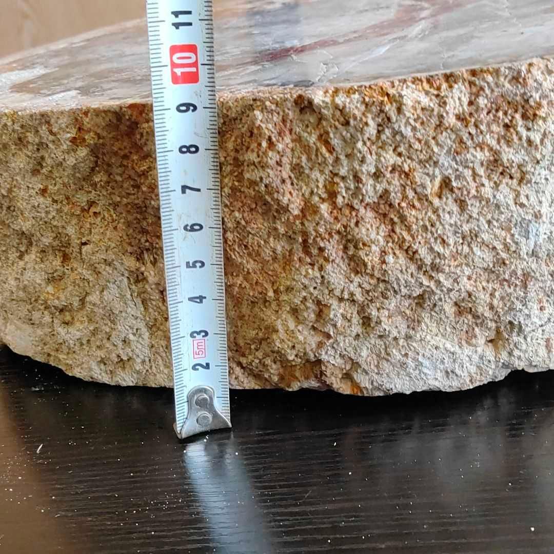 アリゾナ州で発掘された超大型珪化木の化石重量なんと21.3kg