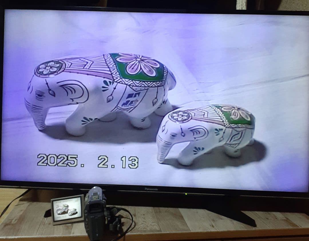 Panasonic デジタルビデオカメラ NV-DS200 miniDV対応